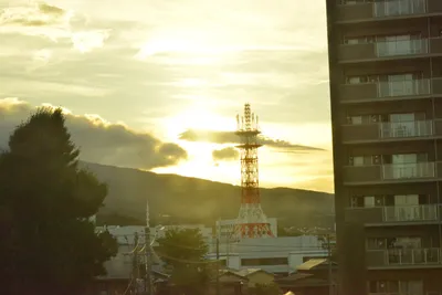 DSC_3789 (Large).JPG